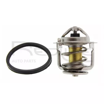 Thermostat d'eau RED-LINE 55MI008