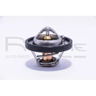 Thermostat d'eau RED-LINE 55MZ000