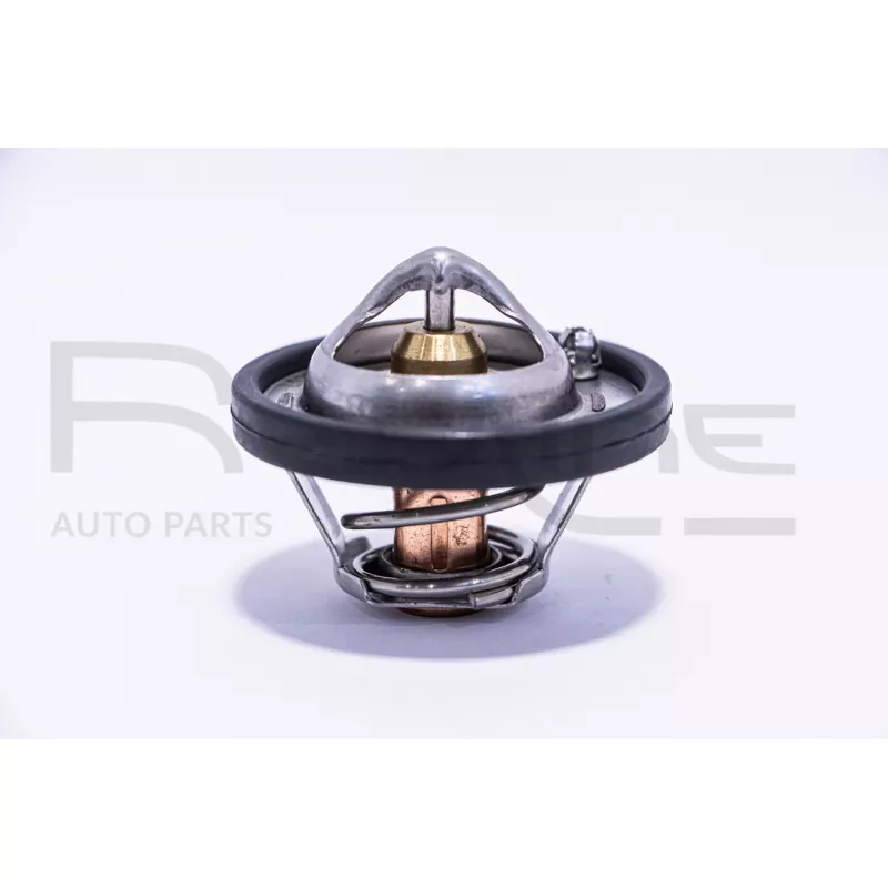Thermostat d'eau RED-LINE 55MZ000