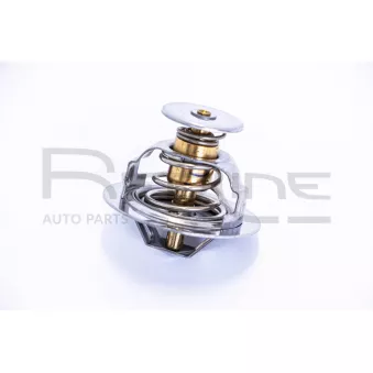 Thermostat d'eau RED-LINE 55NI000