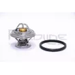 Thermostat d'eau RED-LINE 55SS000 - Visuel 1