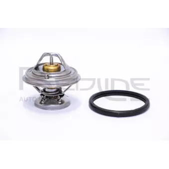 Thermostat d'eau RED-LINE 55SS000