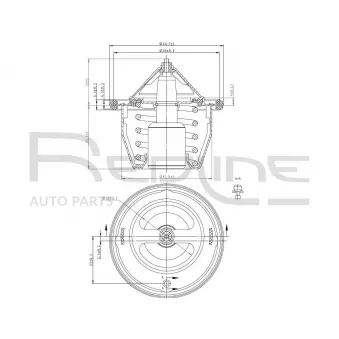 Thermostat d'eau RED-LINE 55SU000
