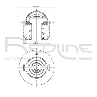 Thermostat d'eau RED-LINE 55SZ000