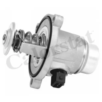 Thermostat d'eau CALORSTAT BY VERNET TE7331.105J