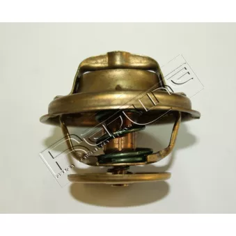 Thermostat d'eau RED-LINE 55TA001