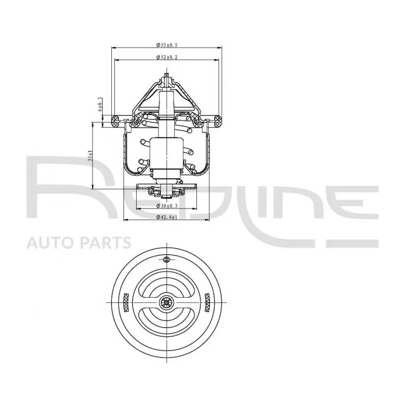 Thermostat d'eau RED-LINE 55TO000