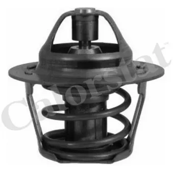 Thermostat d'eau CALORSTAT BY VERNET TH0963.86J