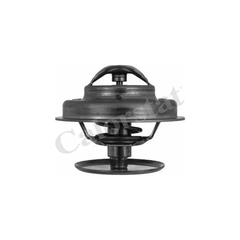 Thermostat d'eau CALORSTAT BY VERNET TH1183.86J