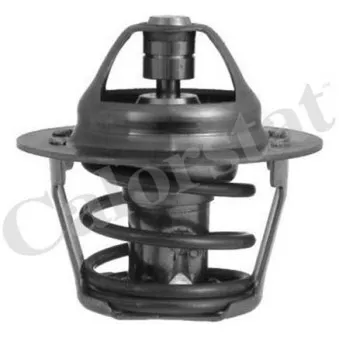 Thermostat d'eau CALORSTAT BY VERNET TH1248.80J