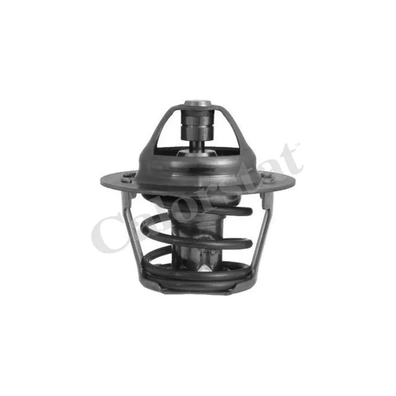 Thermostat d'eau CALORSTAT BY VERNET TH1248.80J