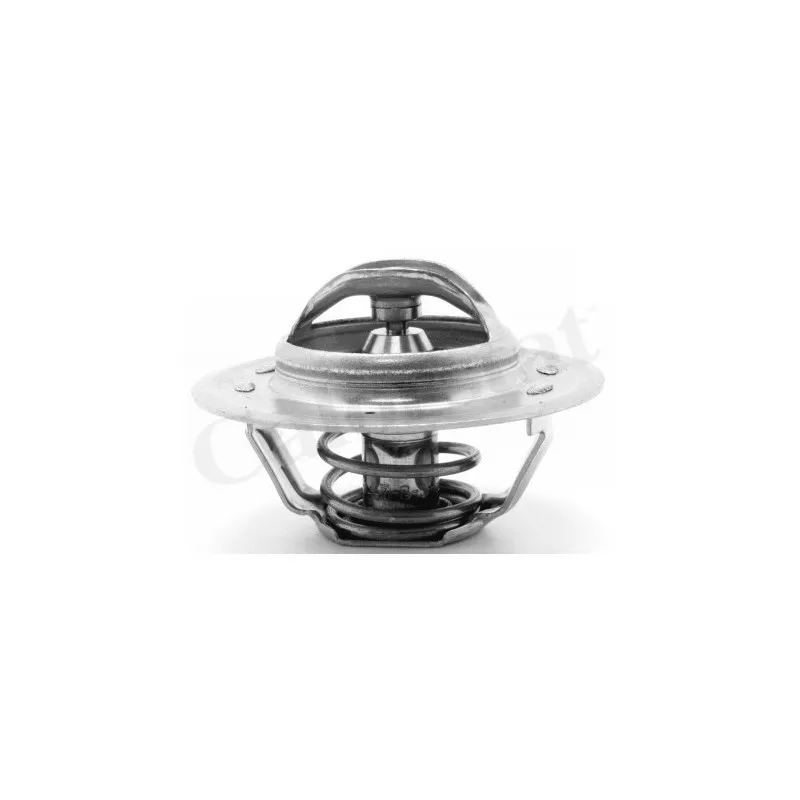Thermostat d'eau CALORSTAT BY VERNET TH1309.87
