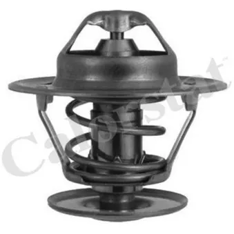 Thermostat d'eau CALORSTAT BY VERNET TH1335.92J
