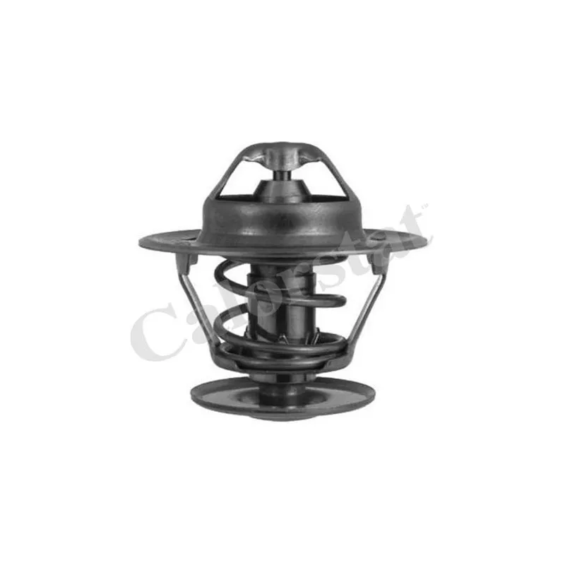Thermostat d'eau CALORSTAT BY VERNET TH1335.92J