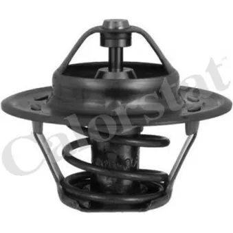 Thermostat d'eau CALORSTAT BY VERNET TH1378.77J