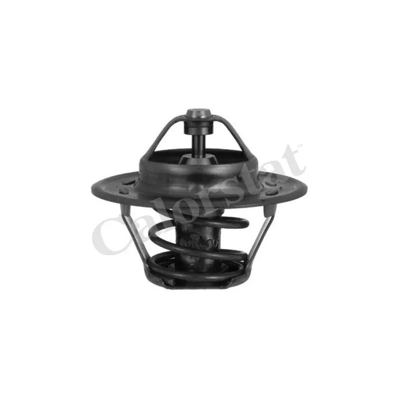 Thermostat d'eau CALORSTAT BY VERNET TH1378.77J