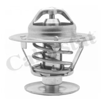 Thermostat d'eau CALORSTAT BY VERNET TH1400.83J
