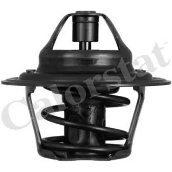 Thermostat d'eau CALORSTAT BY VERNET TH1410.92J