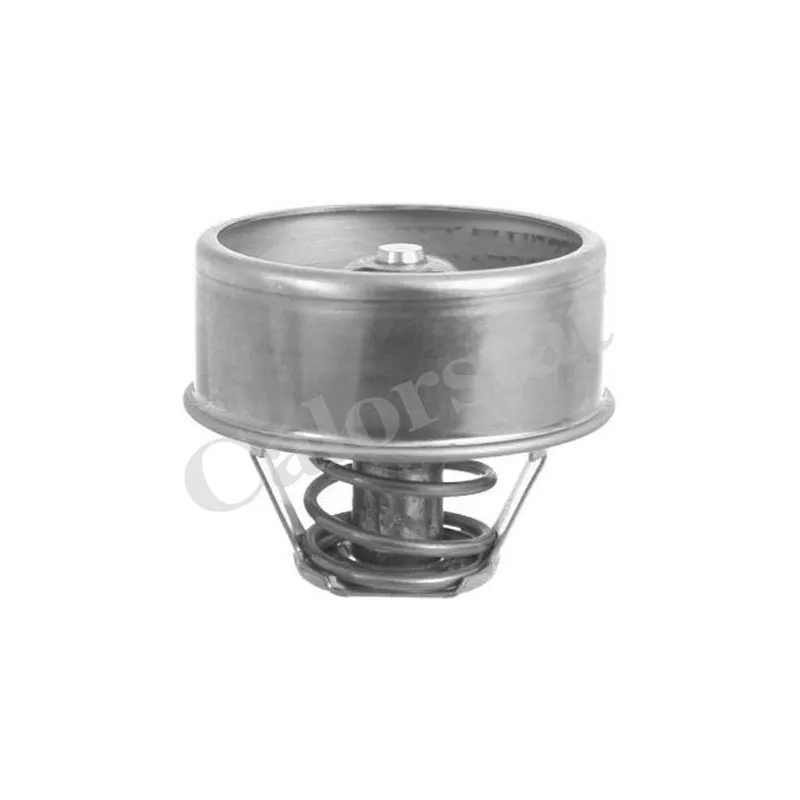 Thermostat d'eau CALORSTAT BY VERNET TH1414.75
