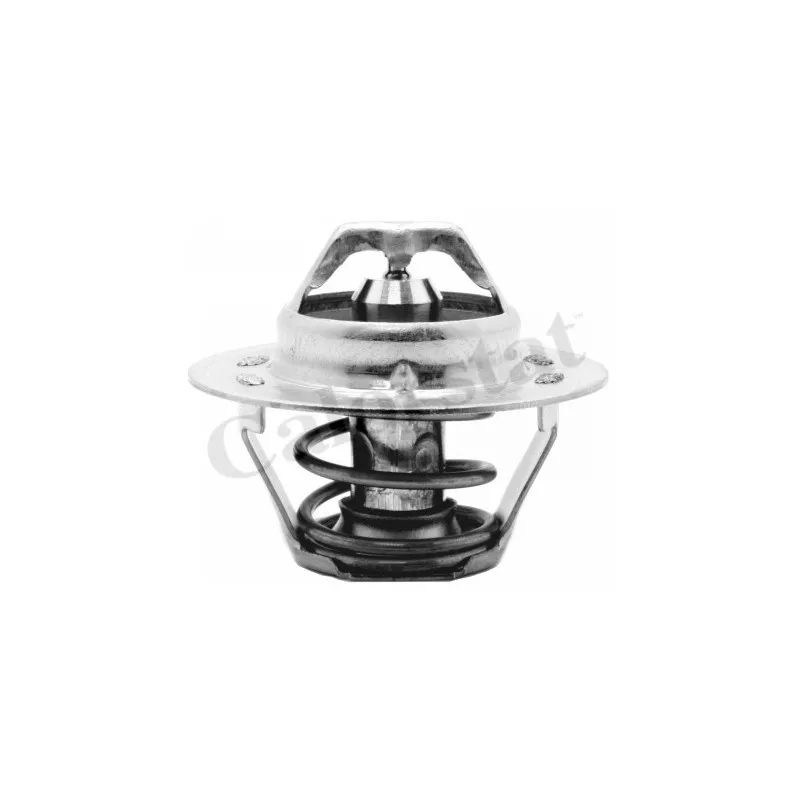 Thermostat d'eau CALORSTAT BY VERNET TH1416.92J
