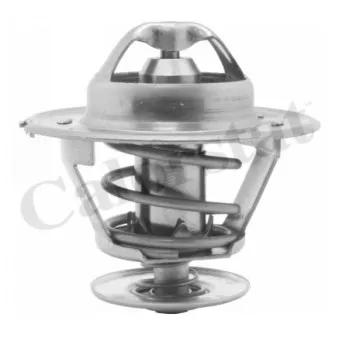 Thermostat d'eau CALORSTAT BY VERNET TH1418.77J
