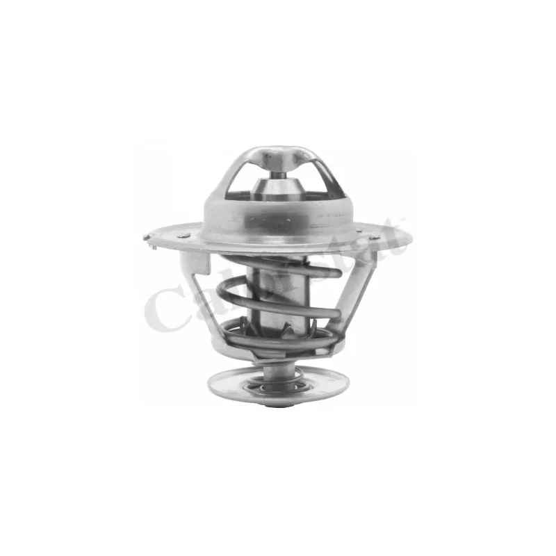 Thermostat d'eau CALORSTAT BY VERNET TH1418.77J