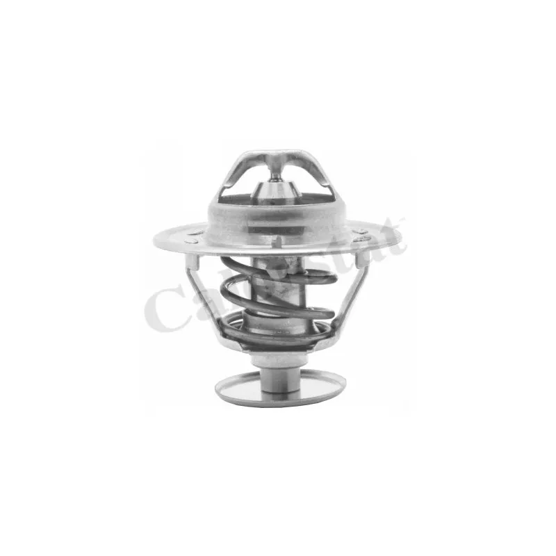 Thermostat d'eau CALORSTAT BY VERNET TH1419.77J