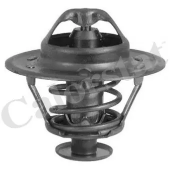 Thermostat d'eau CALORSTAT BY VERNET