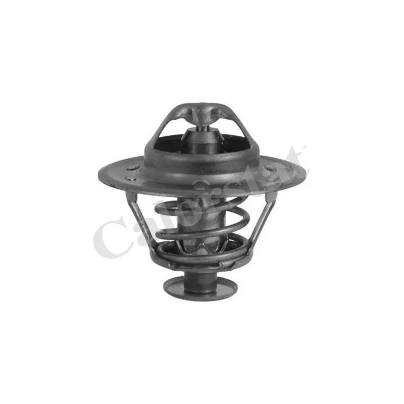 Thermostat d'eau CALORSTAT BY VERNET TH1420.82J