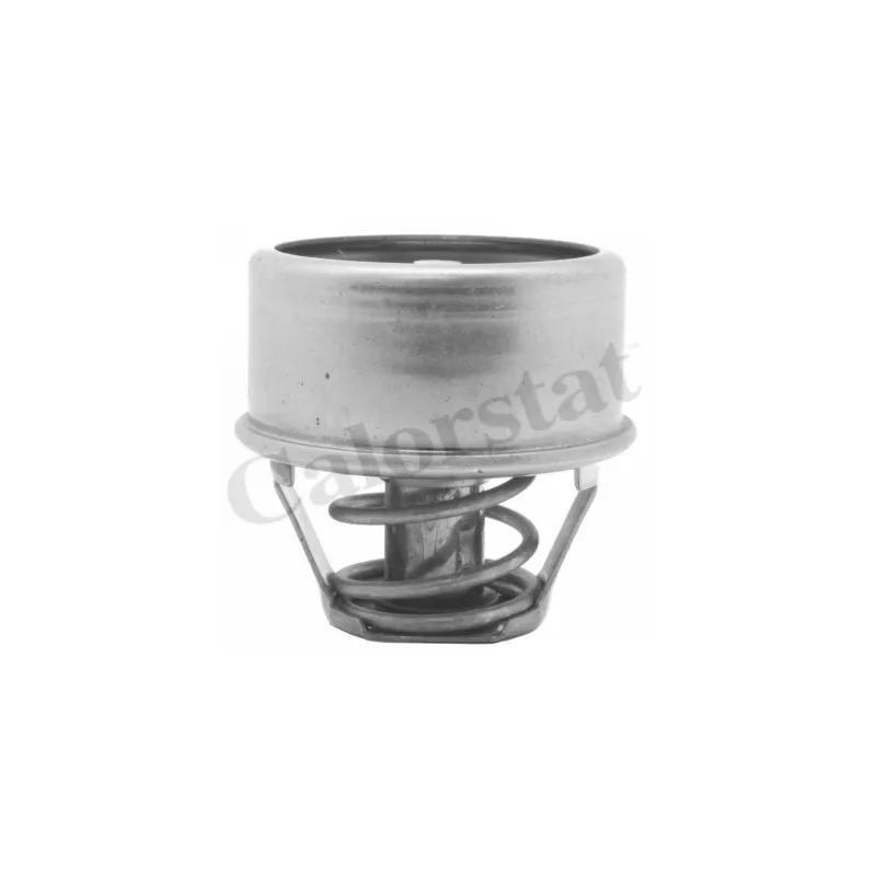 Thermostat d'eau CALORSTAT BY VERNET TH1427.88J
