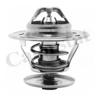 Thermostat d'eau CALORSTAT BY VERNET TH1439.84J