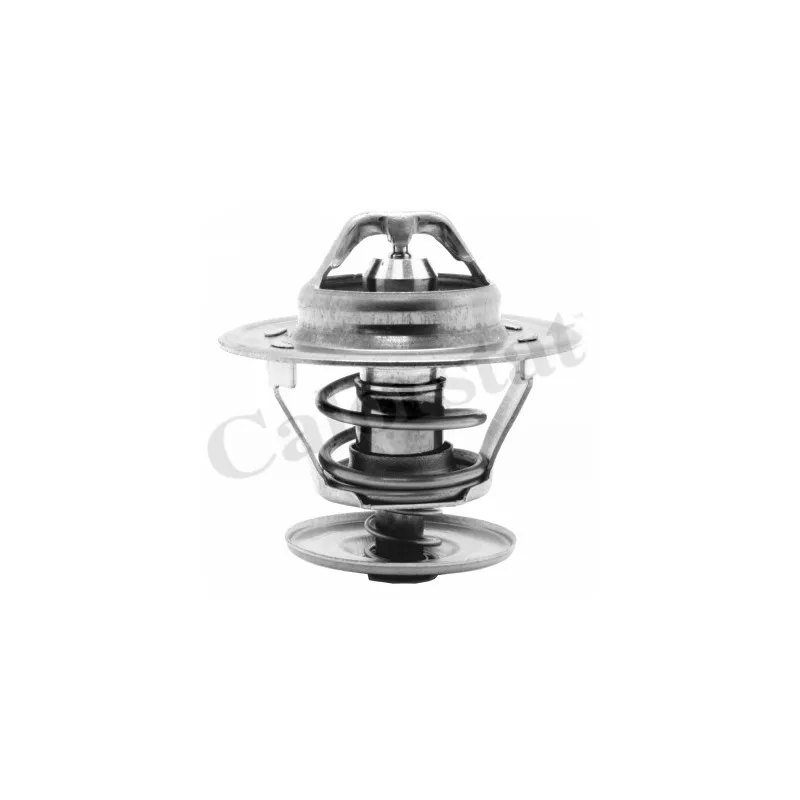 Thermostat d'eau CALORSTAT BY VERNET TH1439.84J