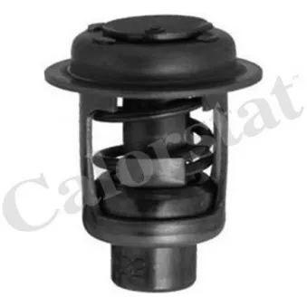 Thermostat d'eau CALORSTAT BY VERNET TH1468.82
