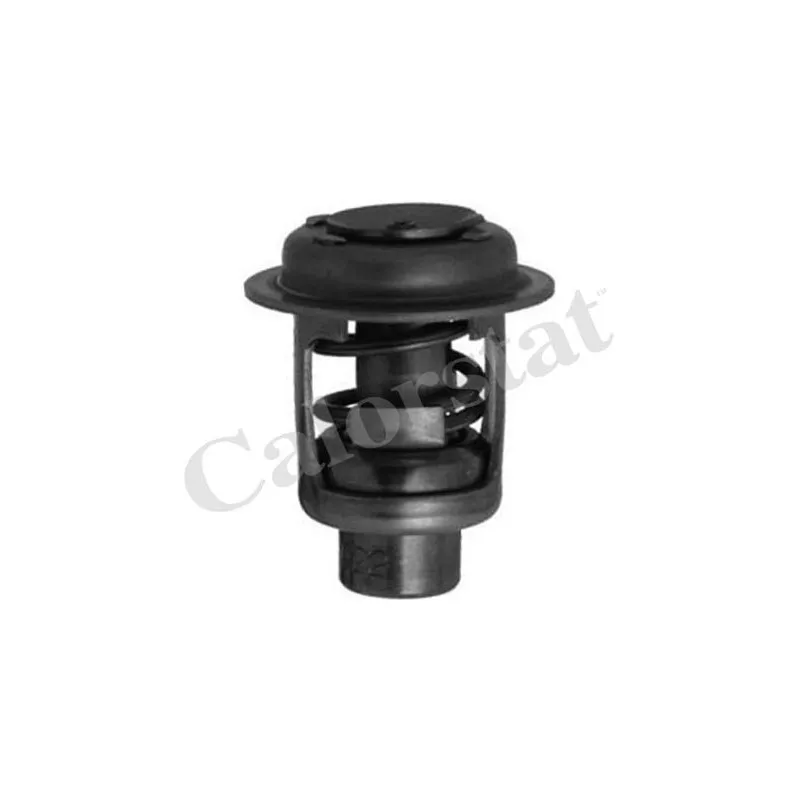 Thermostat d'eau CALORSTAT BY VERNET TH1468.82