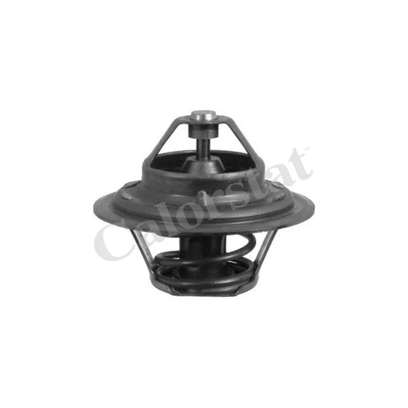 Thermostat d'eau CALORSTAT BY VERNET TH1473.88J