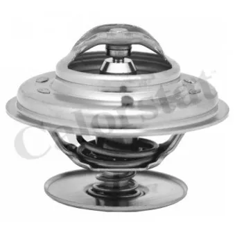 Thermostat d'eau CALORSTAT BY VERNET TH1476.70J