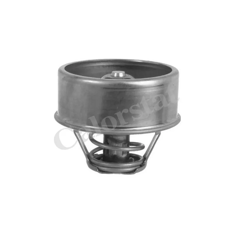 Thermostat d'eau CALORSTAT BY VERNET TH1503.78