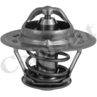 Thermostat d'eau CALORSTAT BY VERNET TH1508.83J