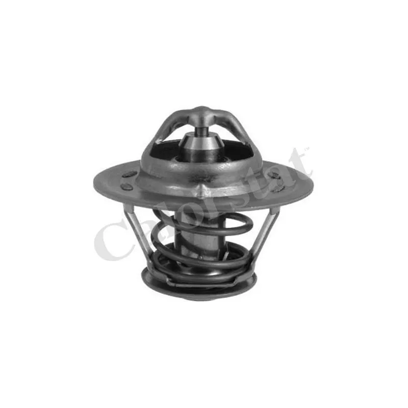 Thermostat d'eau CALORSTAT BY VERNET TH1508.83J