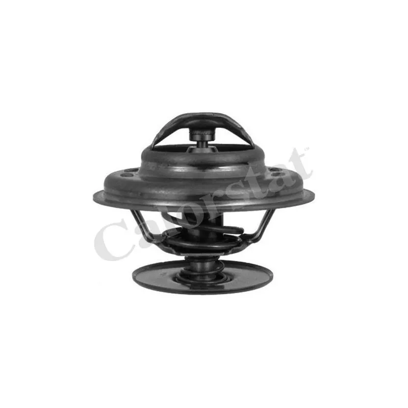 Thermostat d'eau CALORSTAT BY VERNET TH1513.83J