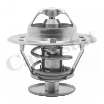 Thermostat d'eau CALORSTAT BY VERNET TH1514.81J