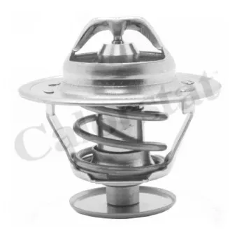 Thermostat d'eau CALORSTAT BY VERNET TH1515.81J
