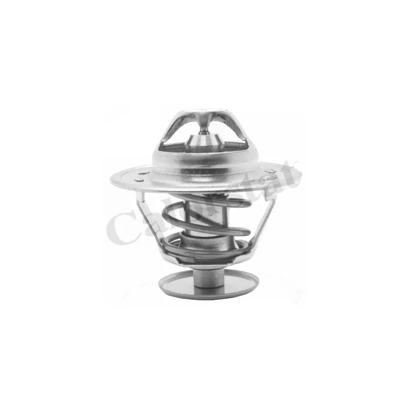 Thermostat d'eau CALORSTAT BY VERNET TH1515.81J