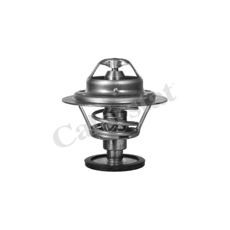 Thermostat d'eau CALORSTAT BY VERNET TH1519.82J