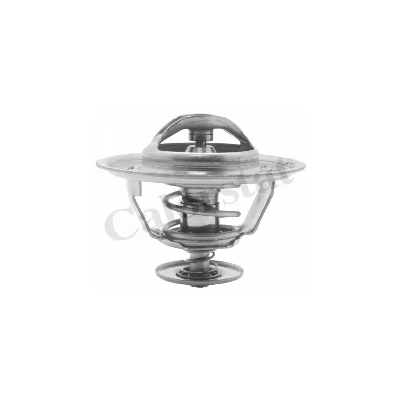 Thermostat d'eau CALORSTAT BY VERNET TH1528.80J
