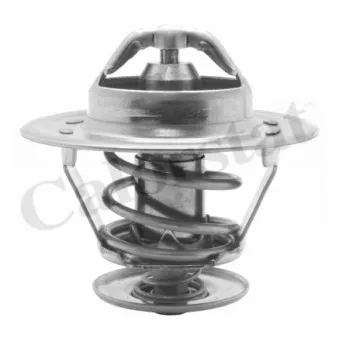 Thermostat d'eau CALORSTAT BY VERNET TH1529.83J