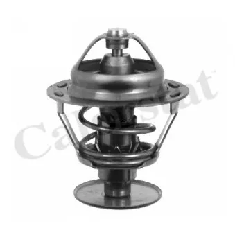 Thermostat d'eau CALORSTAT BY VERNET TH1542.89J