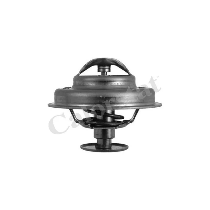 Thermostat d'eau CALORSTAT BY VERNET TH1547.88J