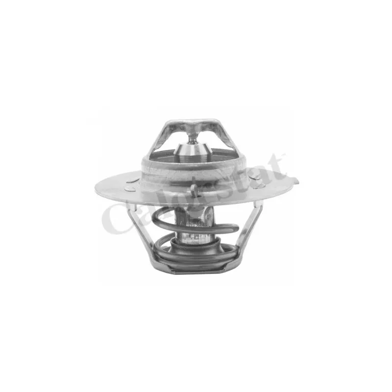 Thermostat d'eau CALORSTAT BY VERNET TH2620.75J