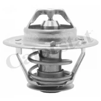 Thermostat d'eau CALORSTAT BY VERNET TH3309.79J